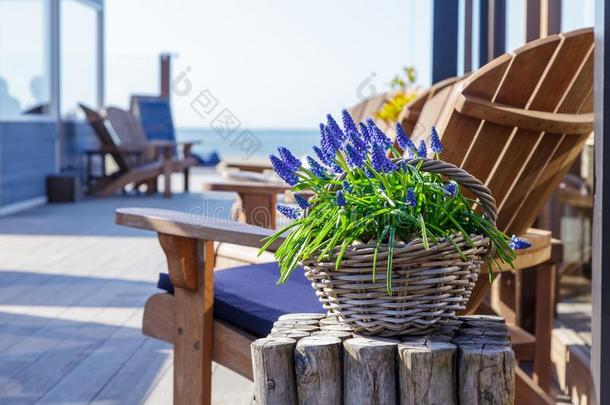 表咖啡馆海滩海花装饰瓶蓝色白色的薰衣草紫色的茶