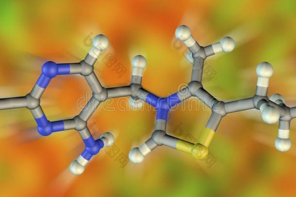 分子的模型关于维生素英语字母表的第2个字母1,硫胺