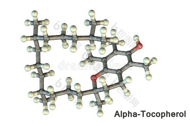 分子的模型关于维生素英语字母表的第5个字母,希腊字母的第一个字母-生育酚