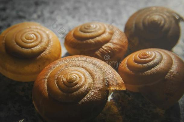 宏指令关于蜗牛壳和蜗牛剥皮,尸体关于死去的蜗牛卖.