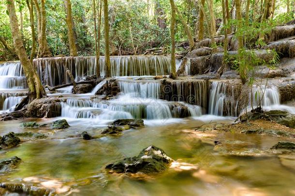 自然的瀑布采用热带的丛林森林