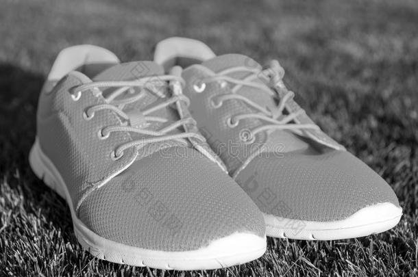 有关运动的鞋子旅游鞋向新鲜的绿色的草.