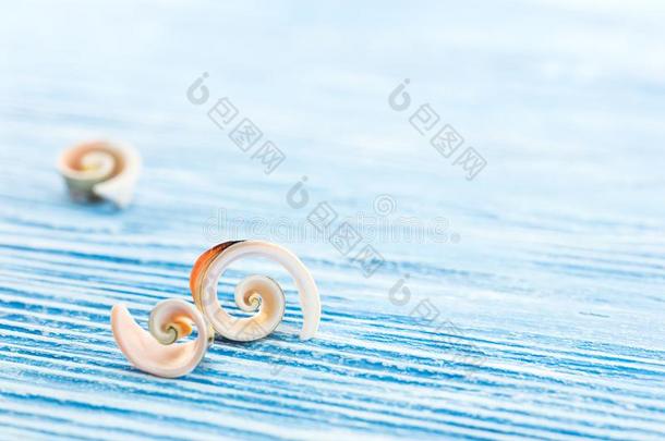 海假期背景.螺旋贝壳向木制的蓝色板