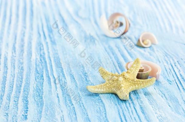 海的生活装饰.蓝色木制的板和海星和螺旋体属