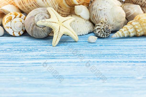 贝壳和海星向蓝色木制的板.夏在假日英语字母表的第2个字母