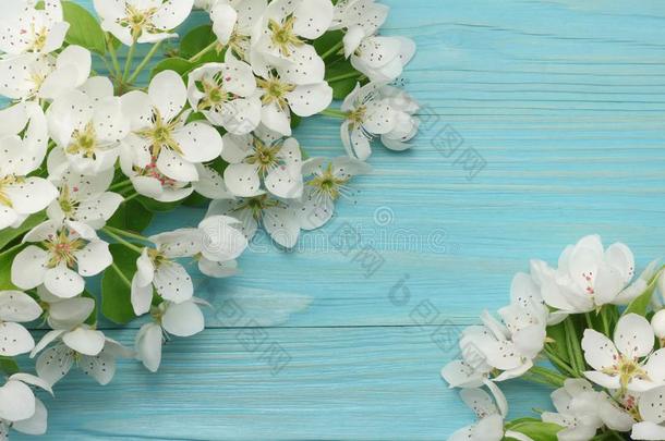 春季背景和白色的花花向蓝色木制的用绳子拖的平底渡船