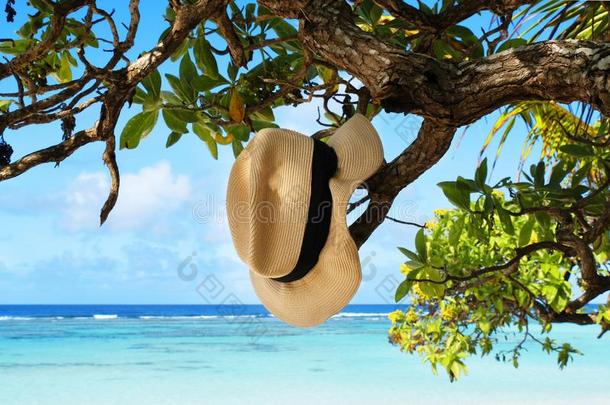 夏<strong>帽子</strong>绞死向热带的海滩