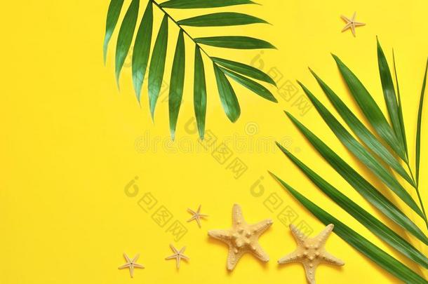 热带的背景.手掌树树枝和海星向黄色的