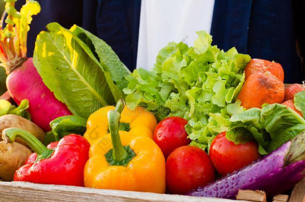 <strong>卫生保健</strong>和健康的吃,多彩的关于新鲜的蔬菜