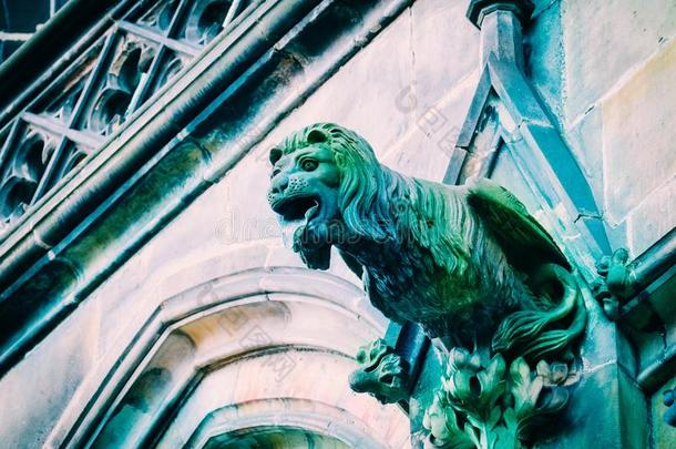捷克人建筑学,使人惊慌的狮子怪兽状滴水嘴雕刻,gothicscriptorgothictype哥特式书写体庙
