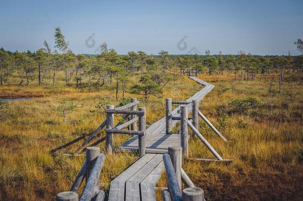 伟大的凯<strong>梅里</strong>沼泽用木板铺成的小道,凯<strong>梅里</strong>国家的公园,拉脱维亚.