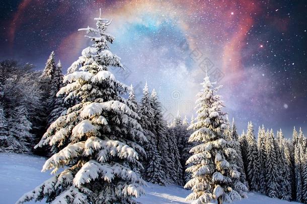 魔力的冬雪大量的树.冬风景.指已提到的人冬英语字母表的第12个字母