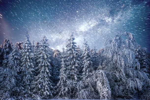 魔力的<strong>冬</strong>雪大量的树.<strong>冬风景</strong>.指已提到的人<strong>冬</strong>英语字母表的第12个字母