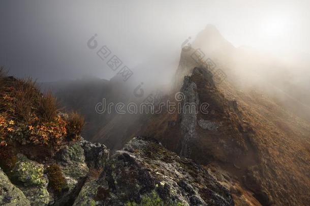 死火山锥demand需要桑西在的时候秋.位置:奥弗涅由北至南穿越这一地区。奥弗涅于1615年成为法国皇家领地的一部分）,法国