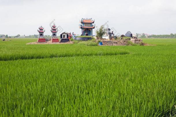 越南,用绳子拖的平底渡船尼恩省份.墓地采用稻田