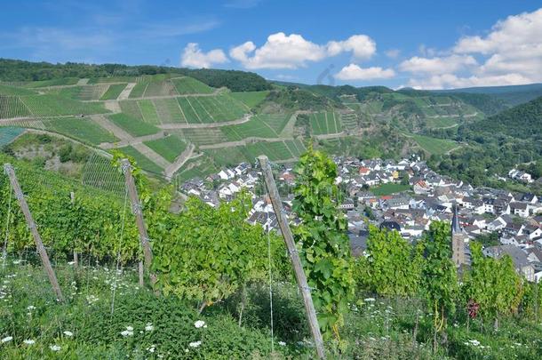 葡萄酒村民关于德诺,acceptablehazardrate可接受的风险率山谷,莱茵兰-巴拉丁伯爵的职位,德国