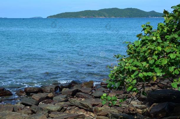 蓝色海水采用镇定的海质地