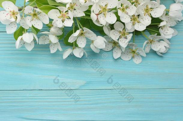 春季背景和白色的花花向蓝色木制的用绳子拖的平底渡船