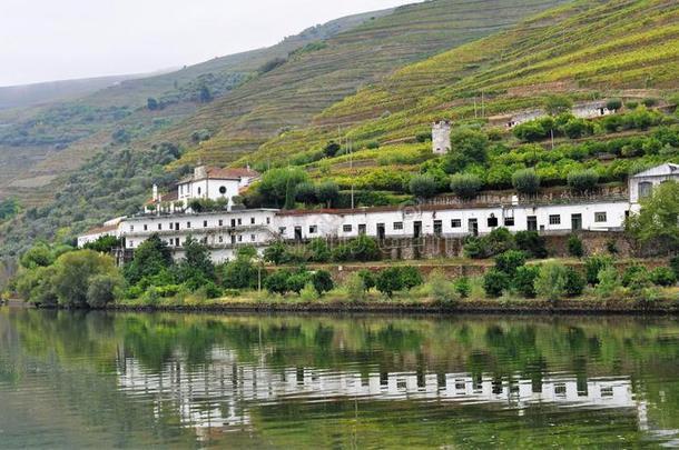 白色的葡萄酒农场反射的采用水-杜罗河河