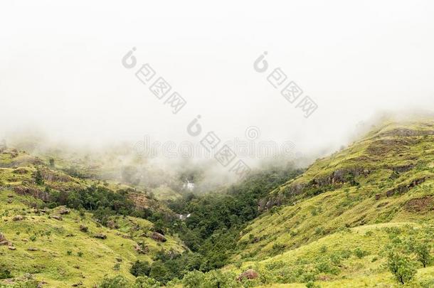 老虎降低在近处马海采用指已提到的人山麓丘陵地带关于指已提到的人德拉肯斯堡山脉