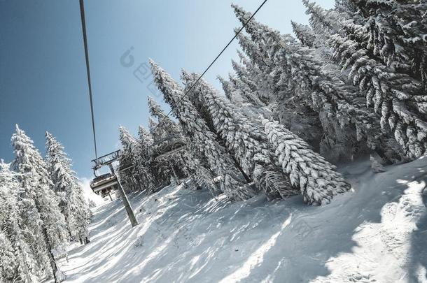 电报越过指已提到的人斜坡和雪,树向一和煦的：照到阳光的d一y和cle一