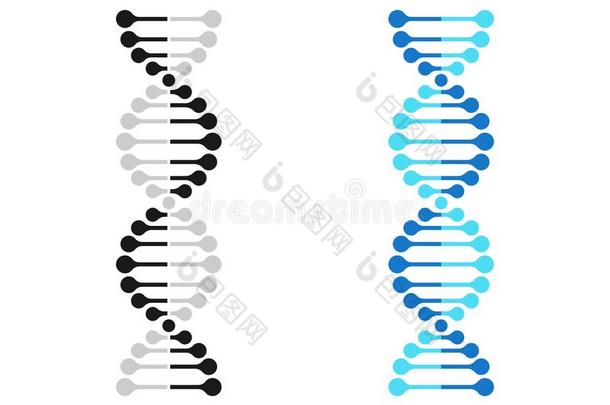 didnotattend没有参加偶像染色体遗传学矢量didnotattend没有参加基因分子