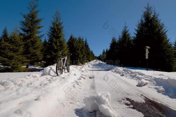 骑脚踏车兜风向大大地轮胎采用新鲜的雪.骑自行车的人进行在旁边自行车向指已提到的人