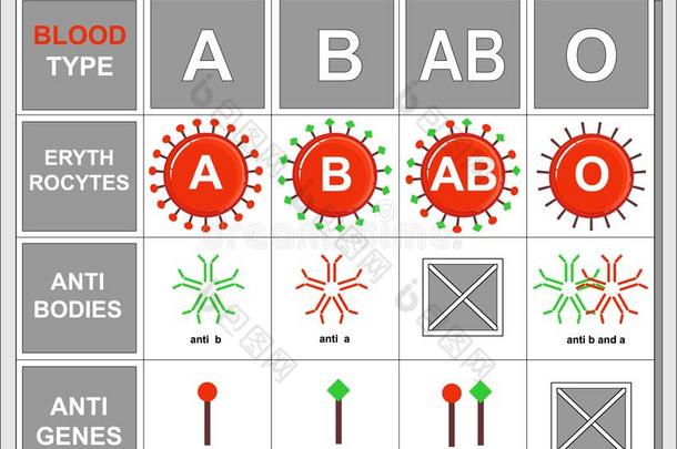 图表关于血类型,背景信息,诊所空白的,氯化血红素