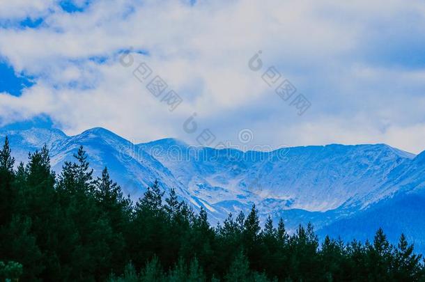 美丽的有<strong>雾</strong>的神秘主义者阿尔卑斯<strong>山</strong>的<strong>山</strong>风景.<strong>雾</strong>云在