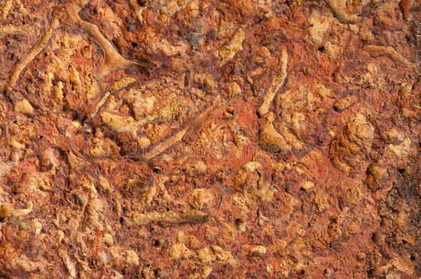 指已提到的人织地粗糙的表面关于泥土关于指已提到的人红色的颜色石灰岩