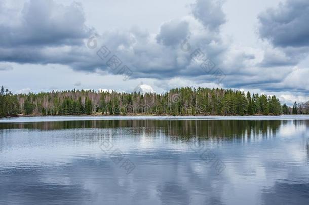 森林向指已提到的人岸关于湖和多云的天在上面,反射的采用