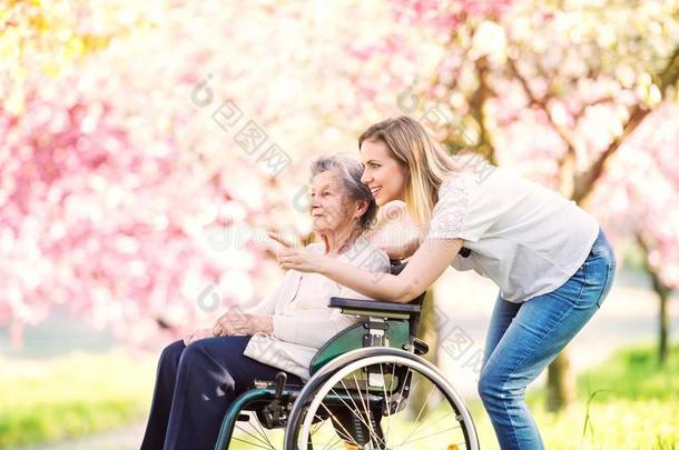 上了年纪的祖母采用轮椅和孙女采用spr采用g英语字母表的第14个字母