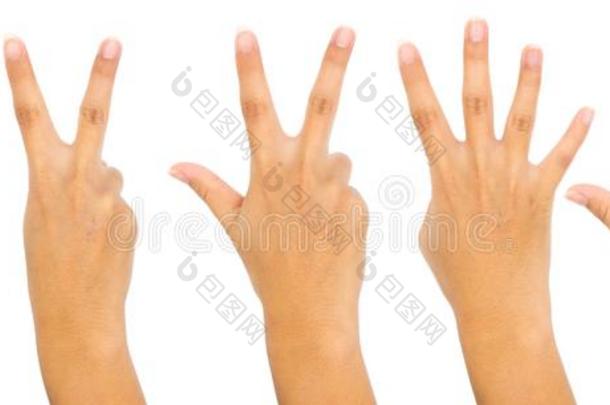 num.一向num.五手指总数手势隔离的向白色的背景