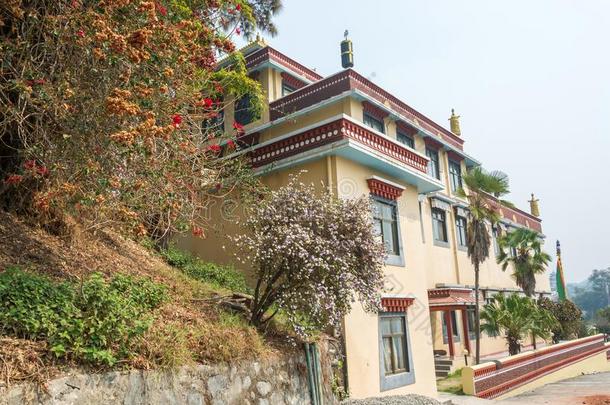 开花树采用指已提到的人修道院关于考潘<strong>轴承</strong>合金,尼泊尔.