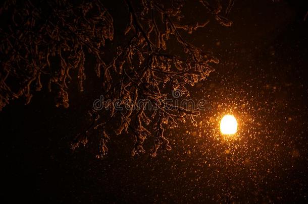 下雪,灯笼和树枝采用夜光