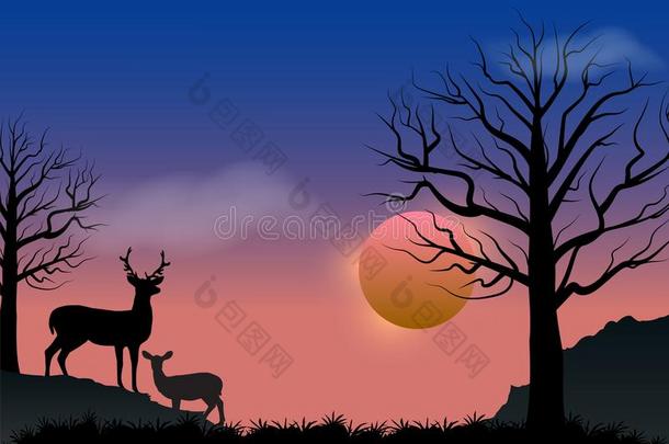 鹿和日落,秋季节自然背景