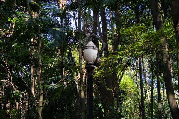 古老的枝形吊灯采用公园