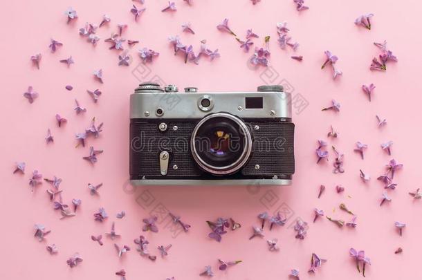时髦的老的照片照相机向粉红色的背景和丁香花属花.
