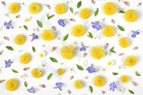 花的模式使关于黄色的蒲公英,丁香花属花,粉红色的芽