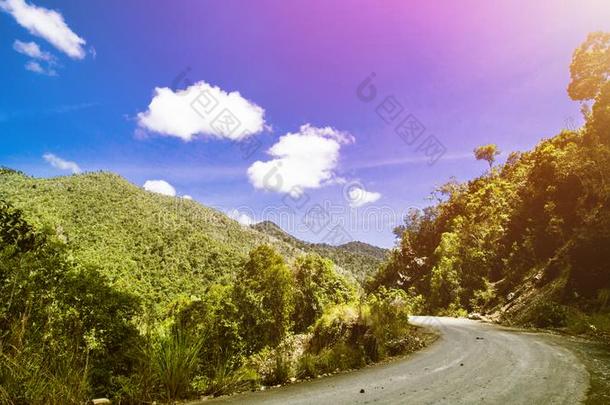 热带的风景,雨森林风景,夏风景,比衣