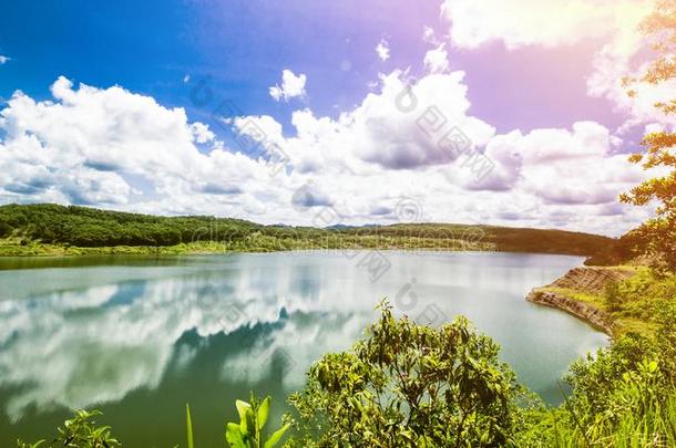 热带的风景,雨森林风景,夏风景,比衣