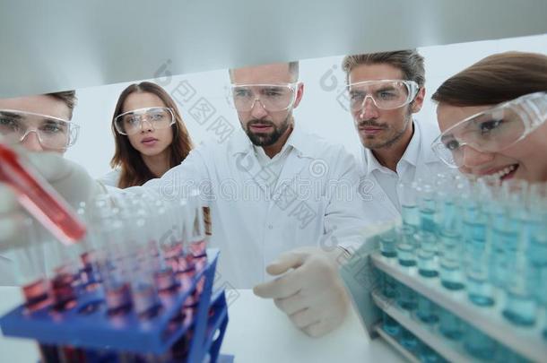 组关于科学家和药剂师工作的采用指已提到的人实验室