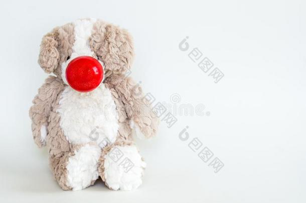 红色的<strong>鼻子</strong>一天-玩具熊使人疲乏的一红色的<strong>鼻子</strong>向一固体的b一ckground