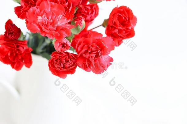 束关于美丽的红色的康乃馨花