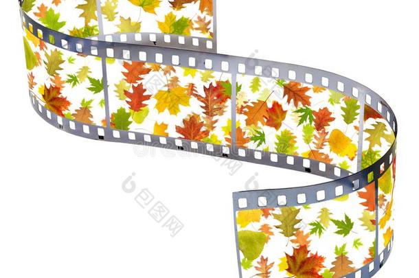 摄影的带子和秋树叶