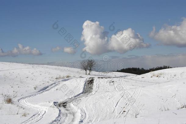 <strong>两个</strong>树在结果关于指已提到的人路经过下雪的小山