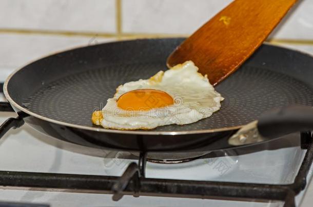 准备的食物母鸡`英文字母表的第19个字母鸡蛋