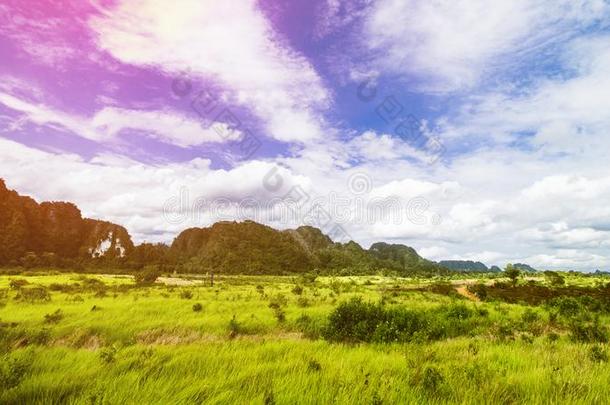 热带的<strong>风</strong>景,雨森林<strong>风</strong>景,夏<strong>风</strong>景,比衣