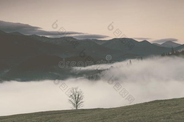 看法关于多雾的雾山采用秋,喀尔巴阡山脉,Ukra采用e