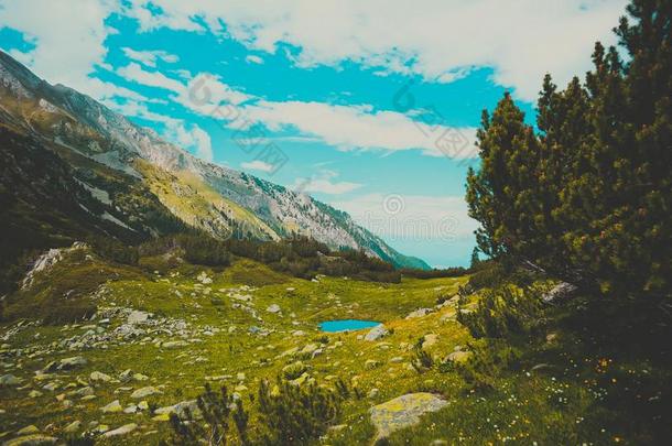 美丽的看法向指已提到的人高的绿色的山山峰,向指已提到的人蓝色Slovakia斯洛伐克